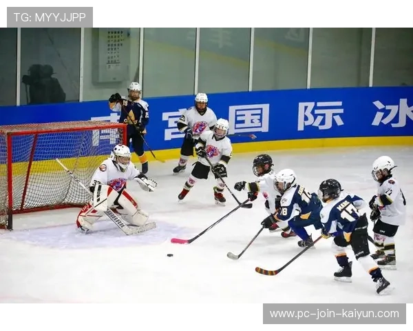 冰球运动员出书分享成长历程成畅销书